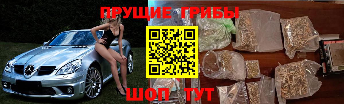 Еманжелинск  магазин продажи наркотиков  Вход с VPN  Галлюциногенные грибы прущие грибы  Галлюциногенные грибы MAGIC MUSHROOMS 